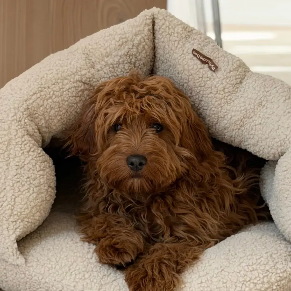 By Doodle Dog Elfe hulekurv i natur sherpa fleece med en brun krøllet hund under taget