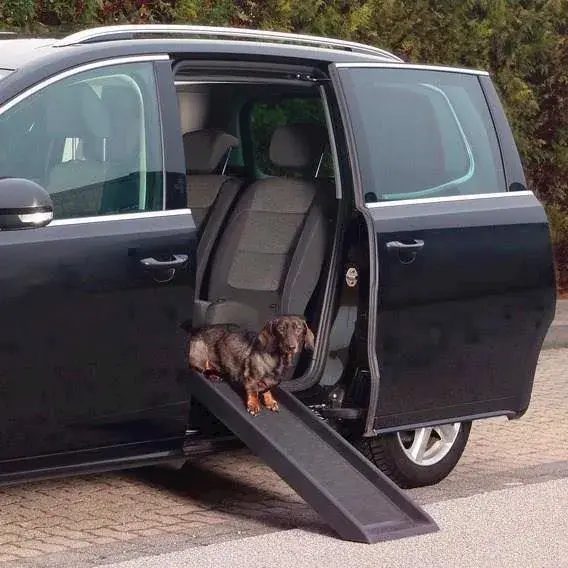 Sort plastrampe til små hunde med skridsikker overflade og sidekanter, sat op ved en bil